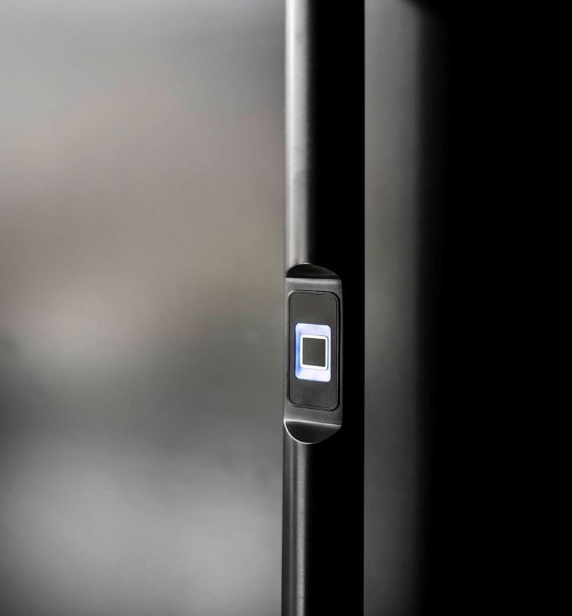 Haustürgriff mit Fingerscan (keyless)